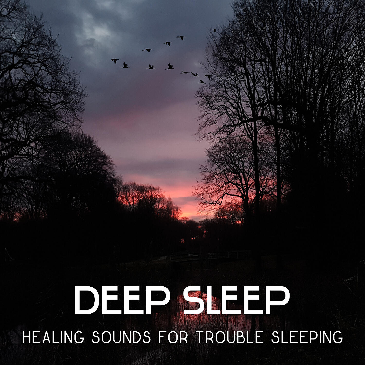 Deep Sleep Sanctuary - Deep Sleep Hypnosis