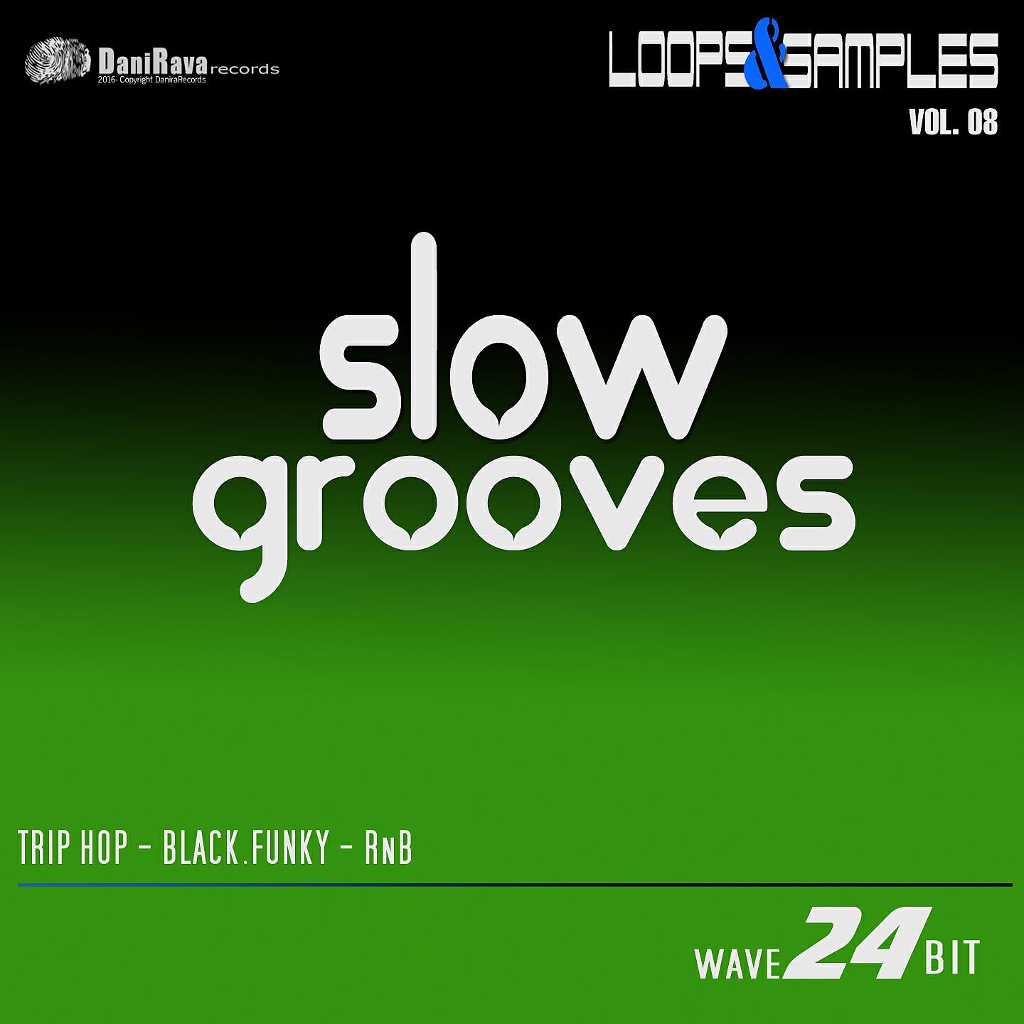 Daniele Ravaioli - RnB - Grooves Loops (RN1)