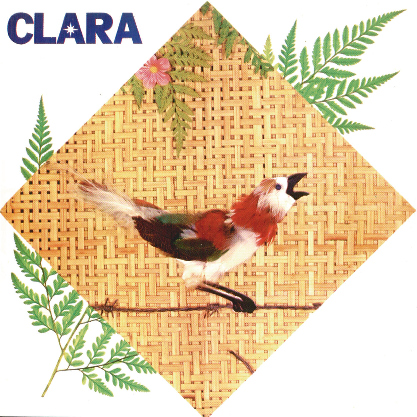 Clara Nunes - Derramando Lágrimas