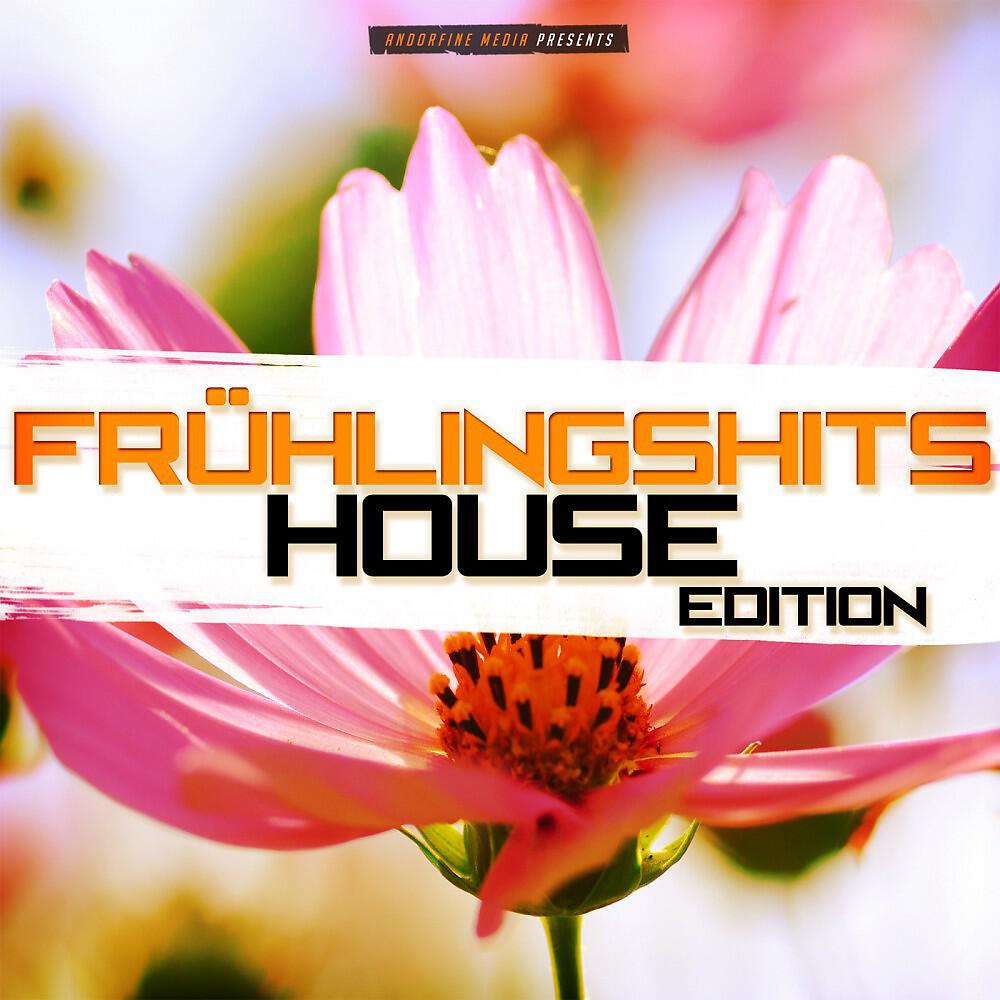 Backdraft - Hey Little Girl (Subgroover Radio Remix)