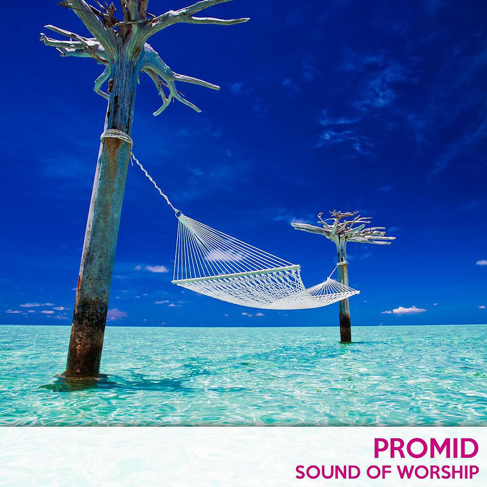 PrOmid - Dependent Heart (Original Mix)