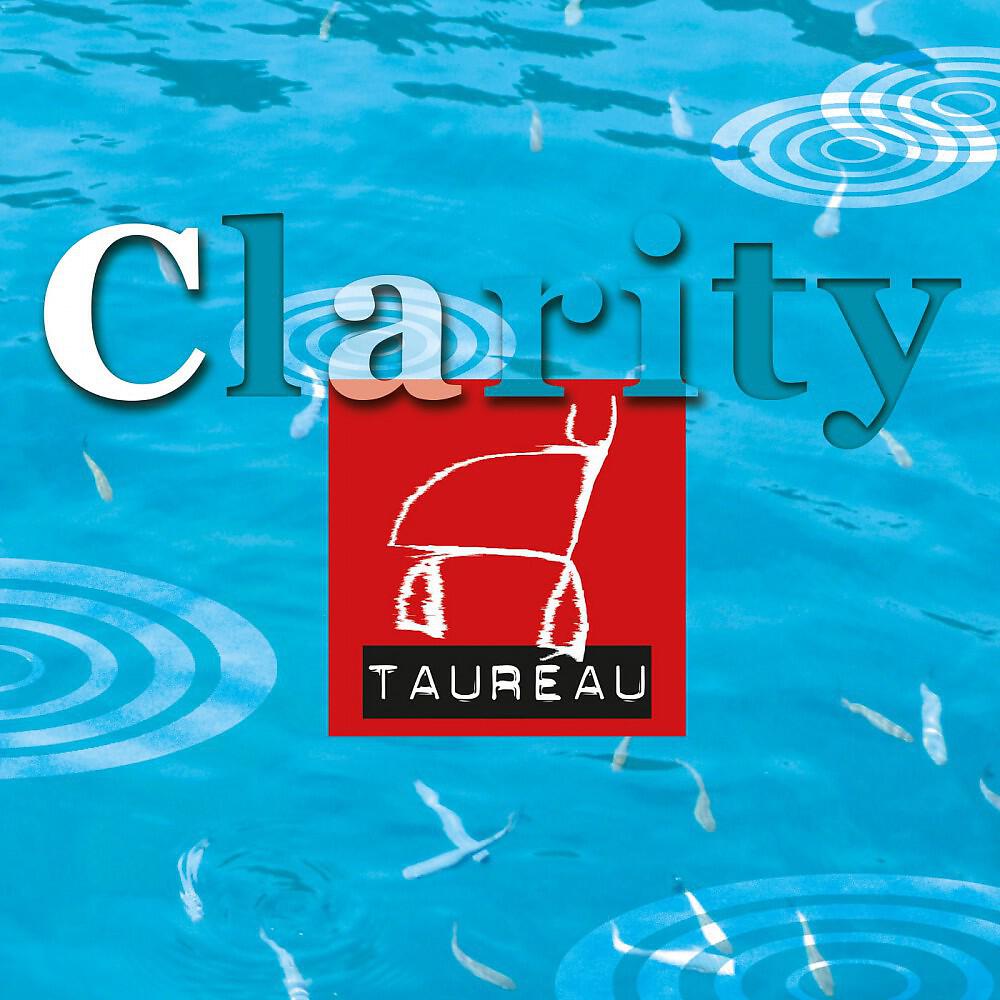 Taureau - Clarity (Radio Mix)