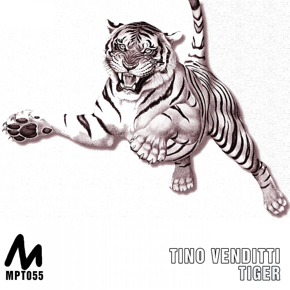 Tino Venditti - Tiger