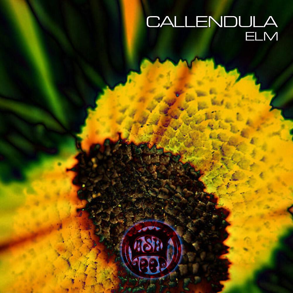 Callendula - Nu Funky Hgway to Hell