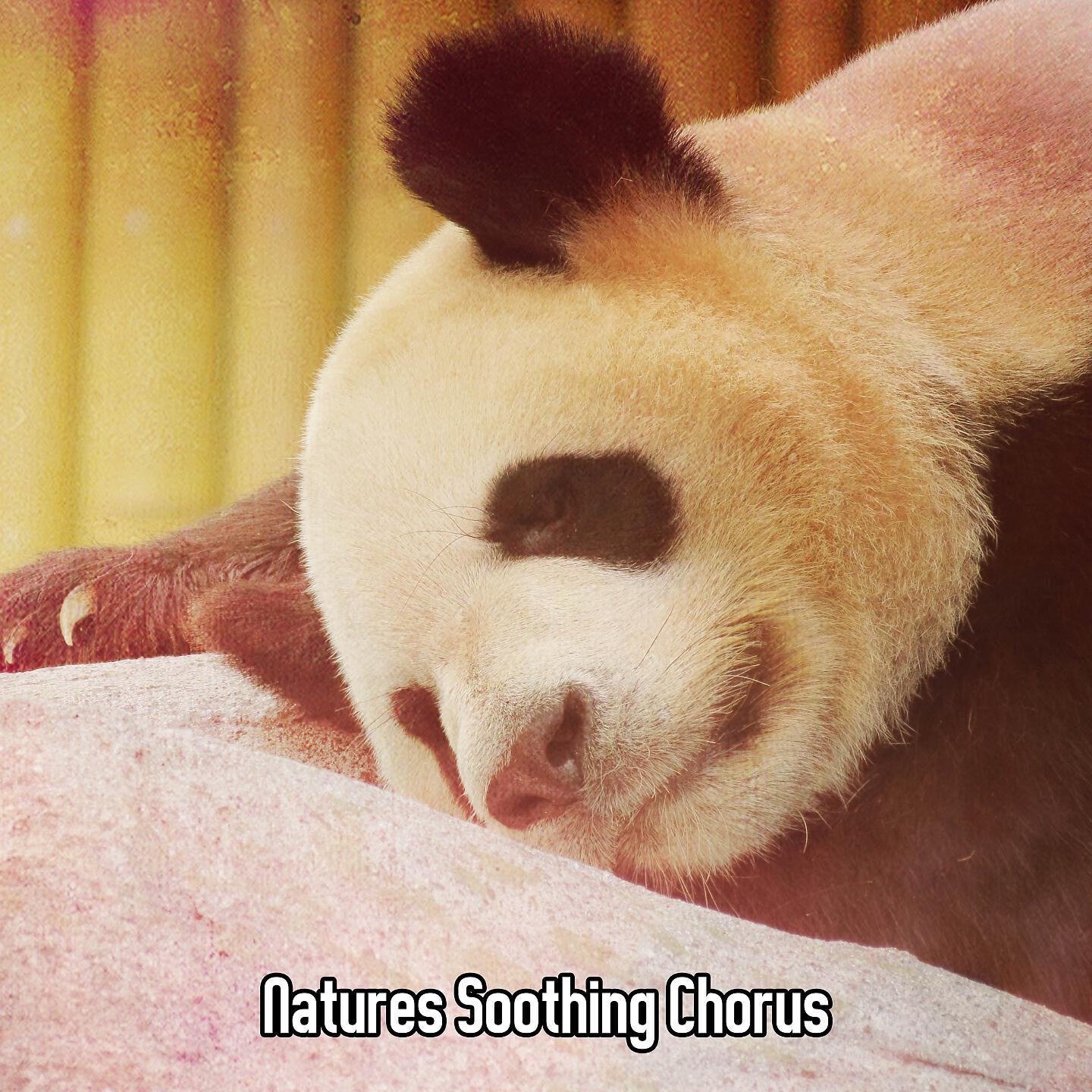 All Night Sleeping Songs to Help You Relax - Aquatic Embrace