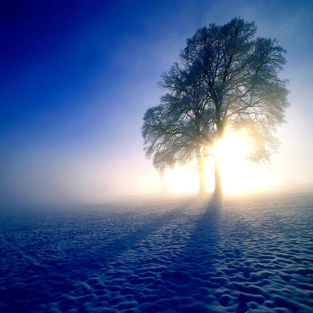 Arctic Light - Cold touch (Original Mix)