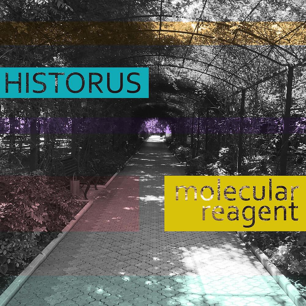 Historus - Molecular