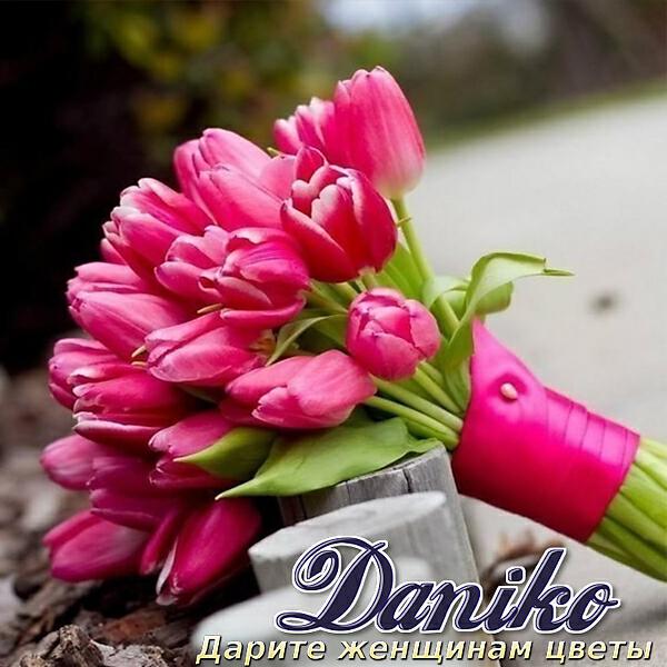 Daniko - Девочка любимая моя