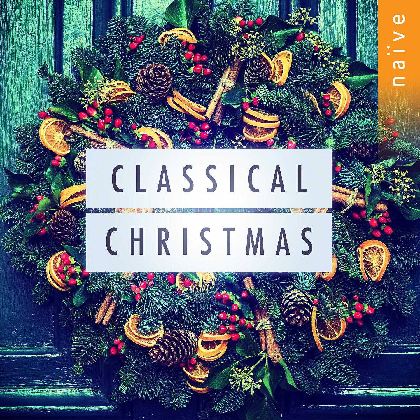 Marc Minkowski - Symphony No. 5 in B-Flat Major, D. 485: I. Allegro