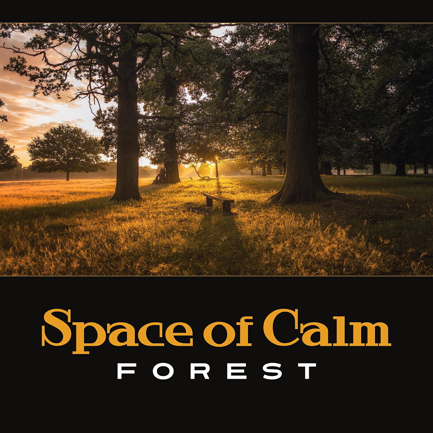 Nature Music Sanctuary - Inward Calmness (Harmony of Nature)