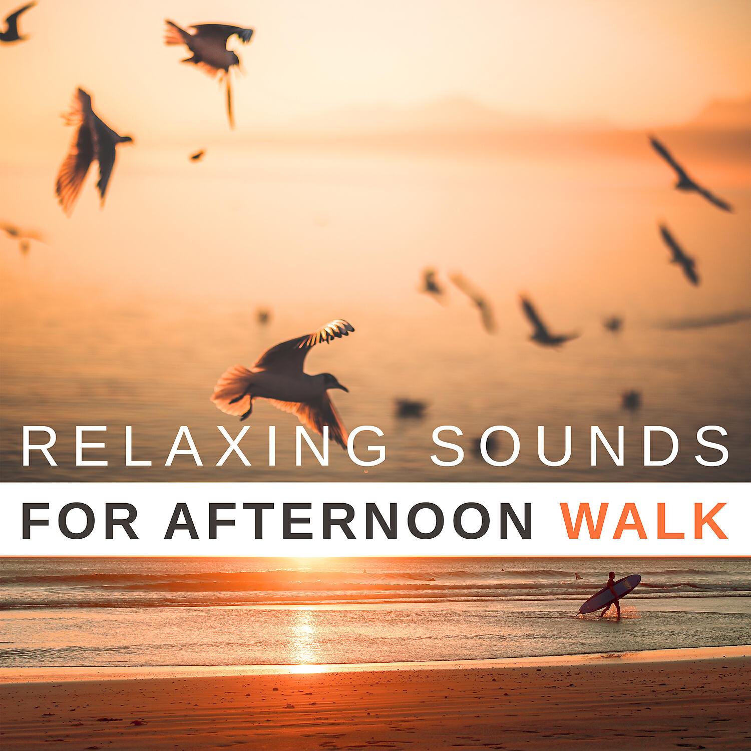 Calming Music Sanctuary - Just Relax
