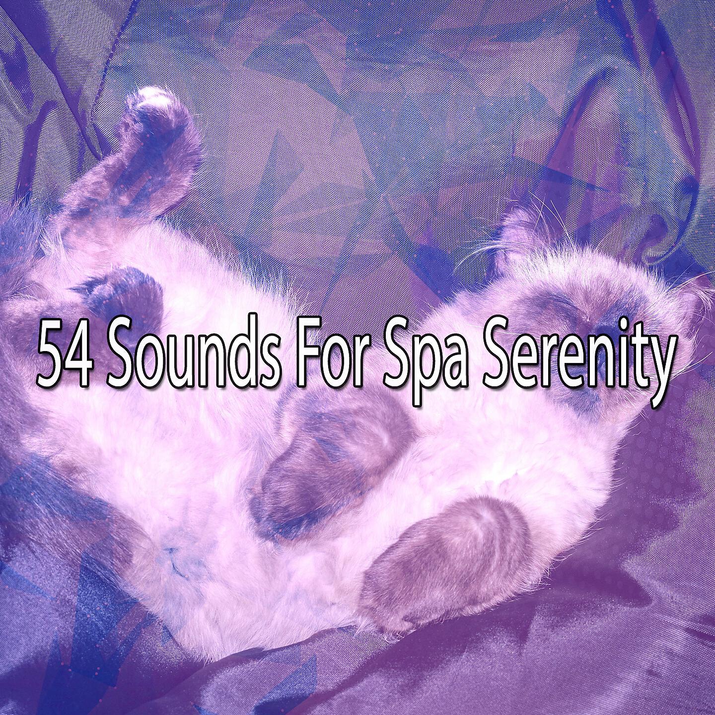 Best Relaxing SPA Music - Relaxing Hum