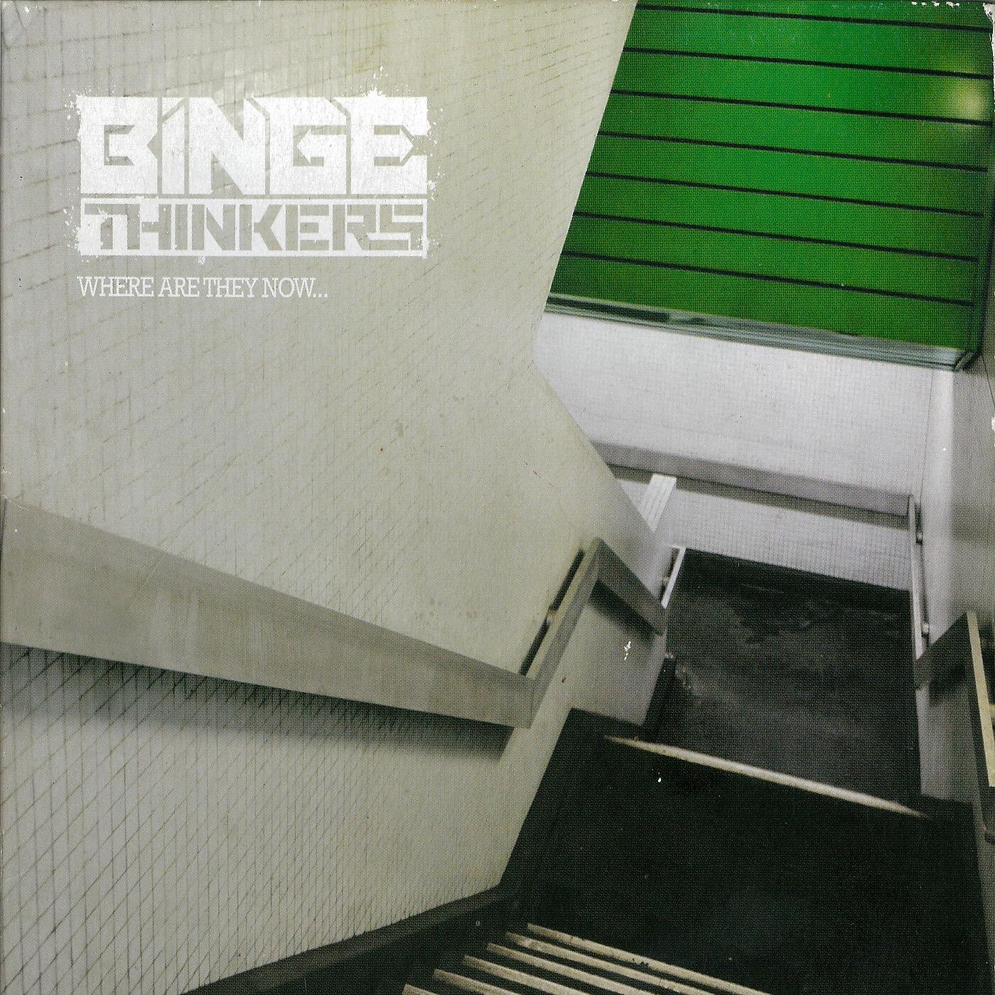Bingethinkers - Aus Stylin (feat. Vida Sunshyne)