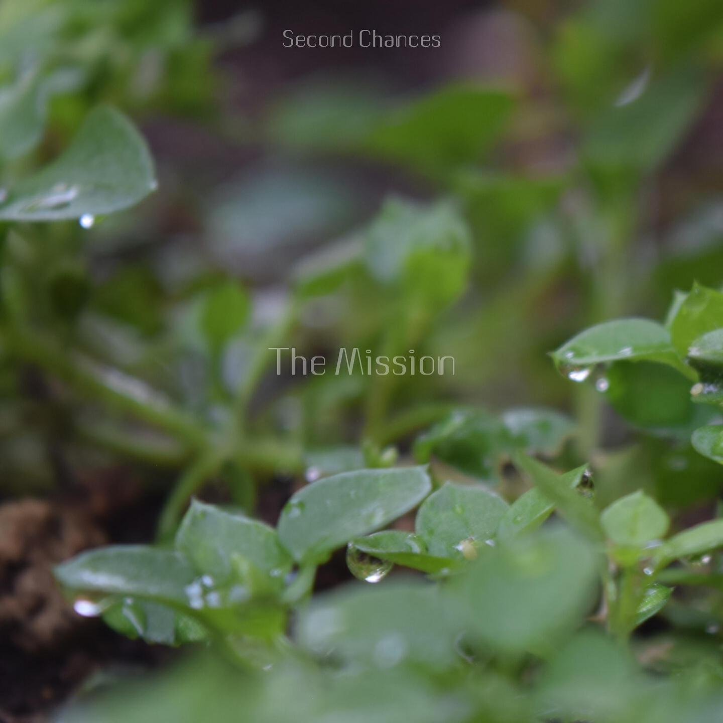 Second Chances - Altar Chains