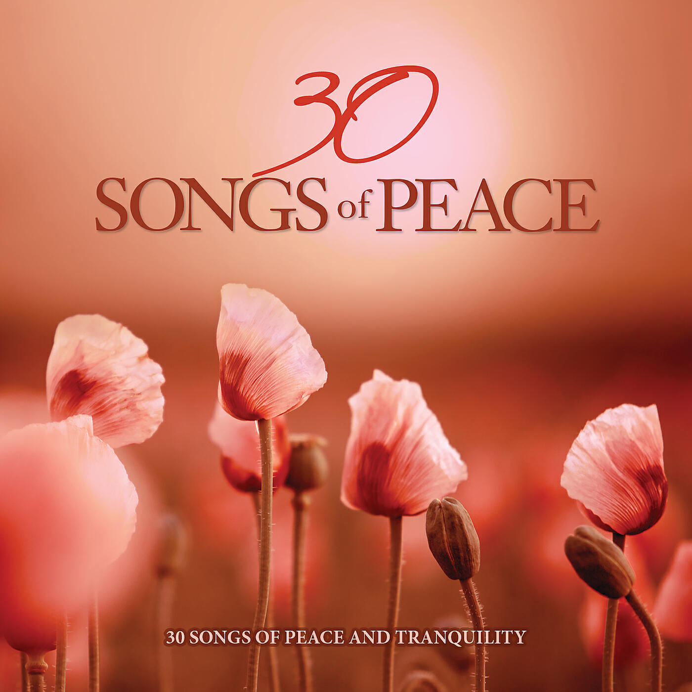 David Davidson - Softly And Tenderly