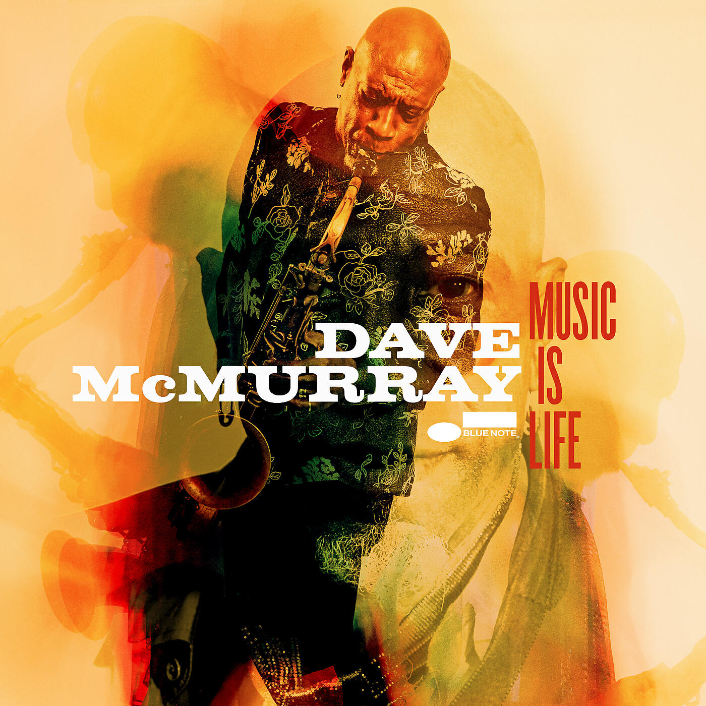 Dave McMurray - Music Is Life (Live It)