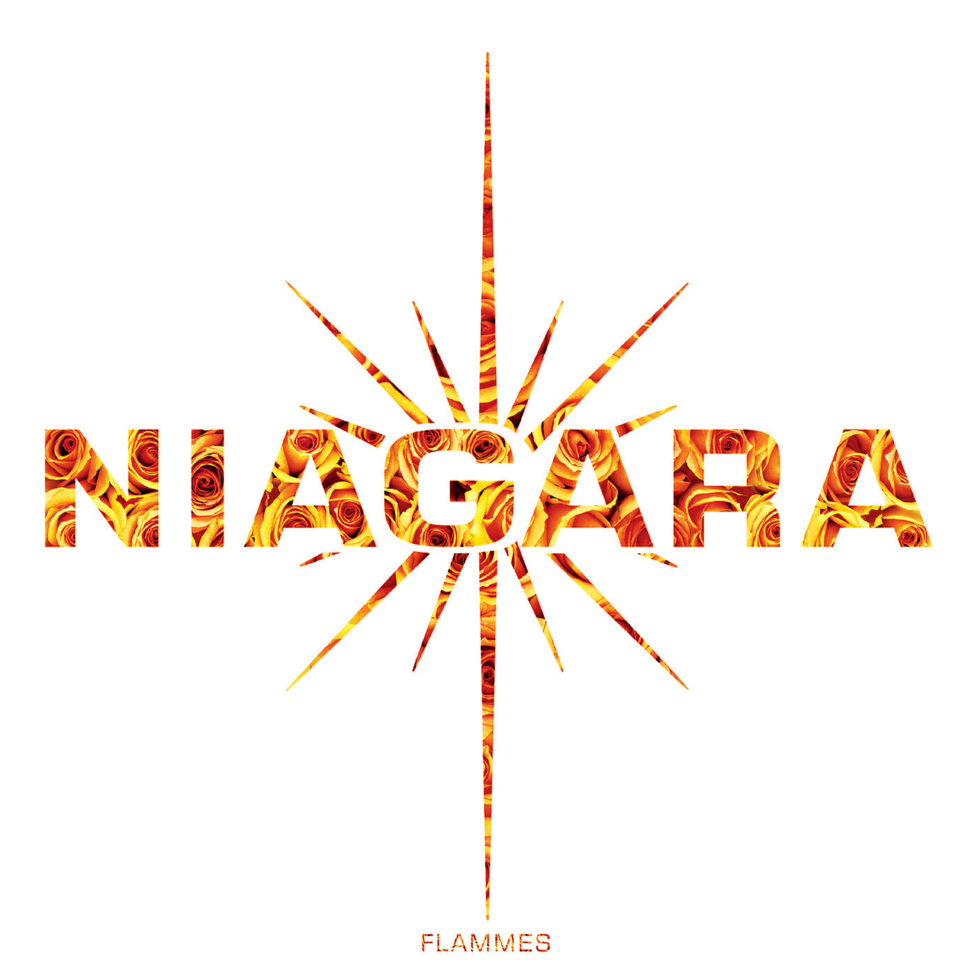 Niagara - Un million d'années