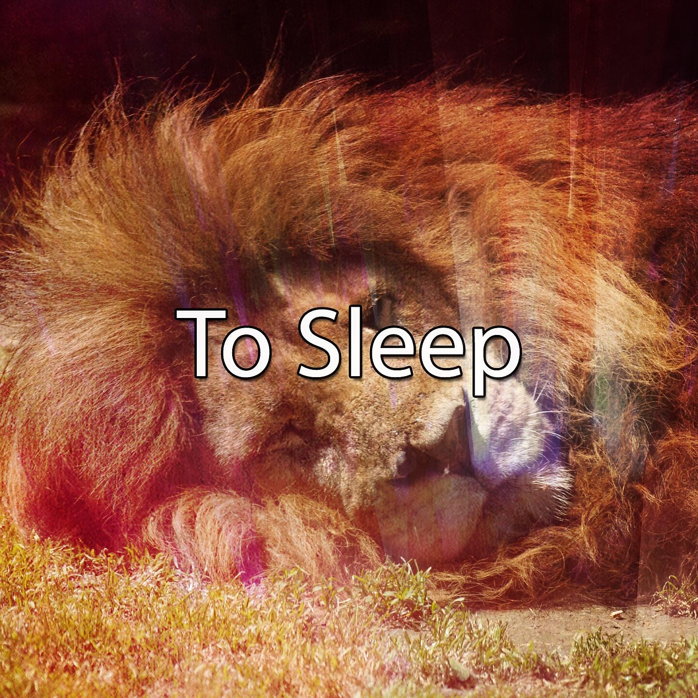 Deep Sleep Music Academy - Aquatic Embrace