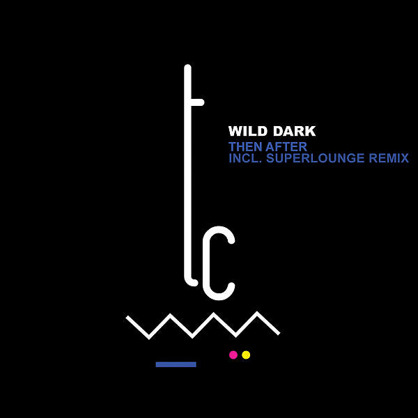 Wild Dark - Why Not (feat. Alex Who?)