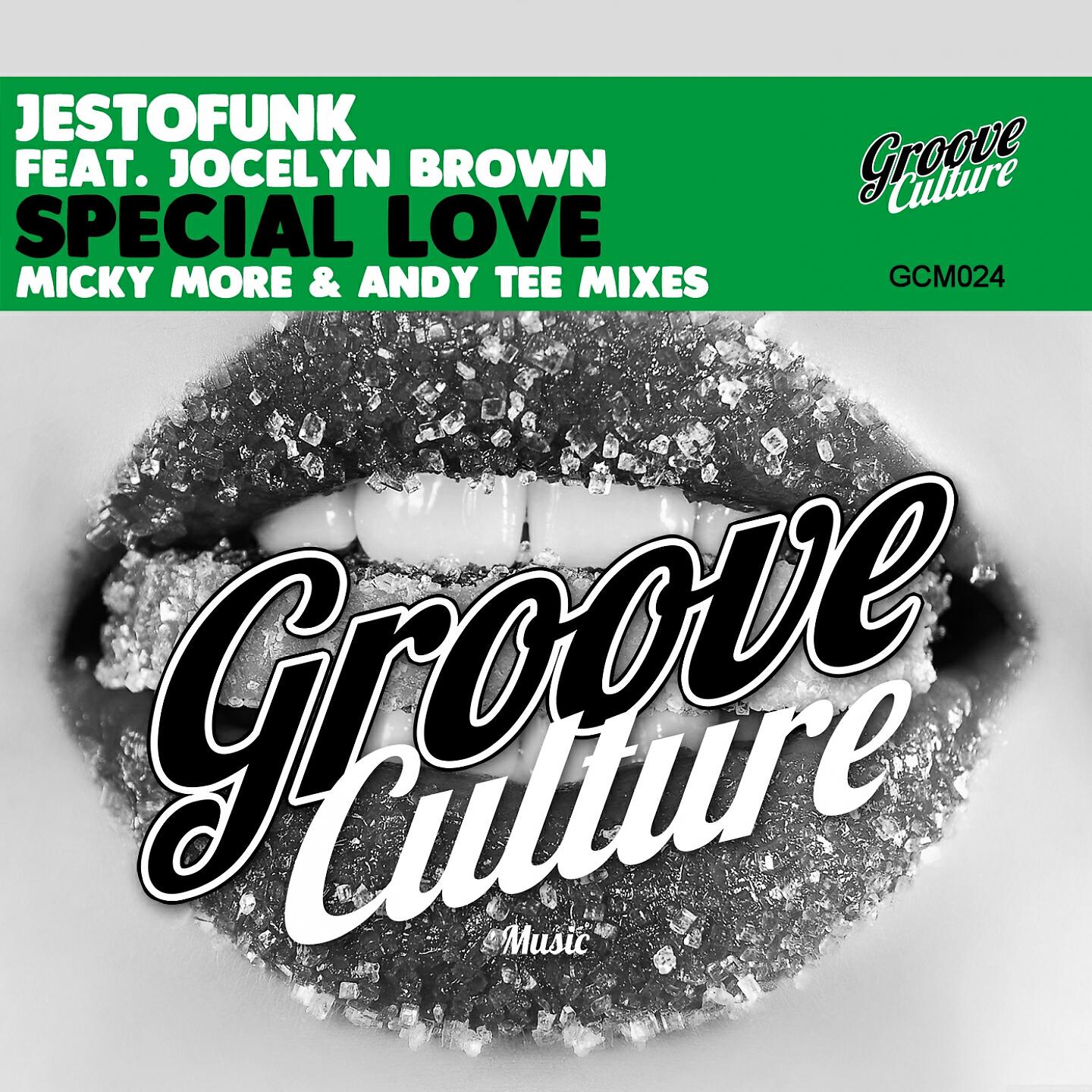 Jestofunk - Special Love (Micky More & Andy Tee Jazzy Vocal)