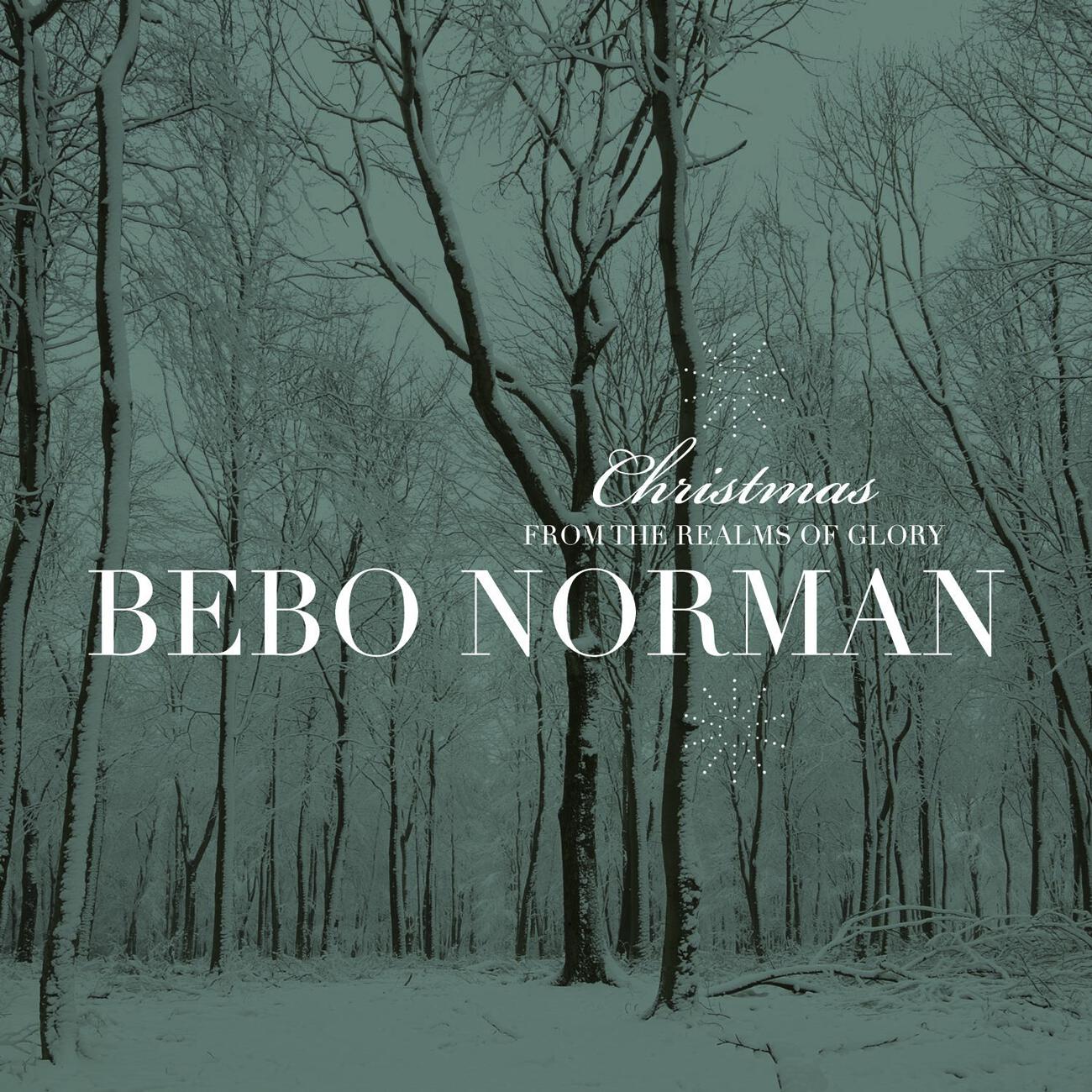 Bebo Norman - The Rebel Jesus (Live/2010)