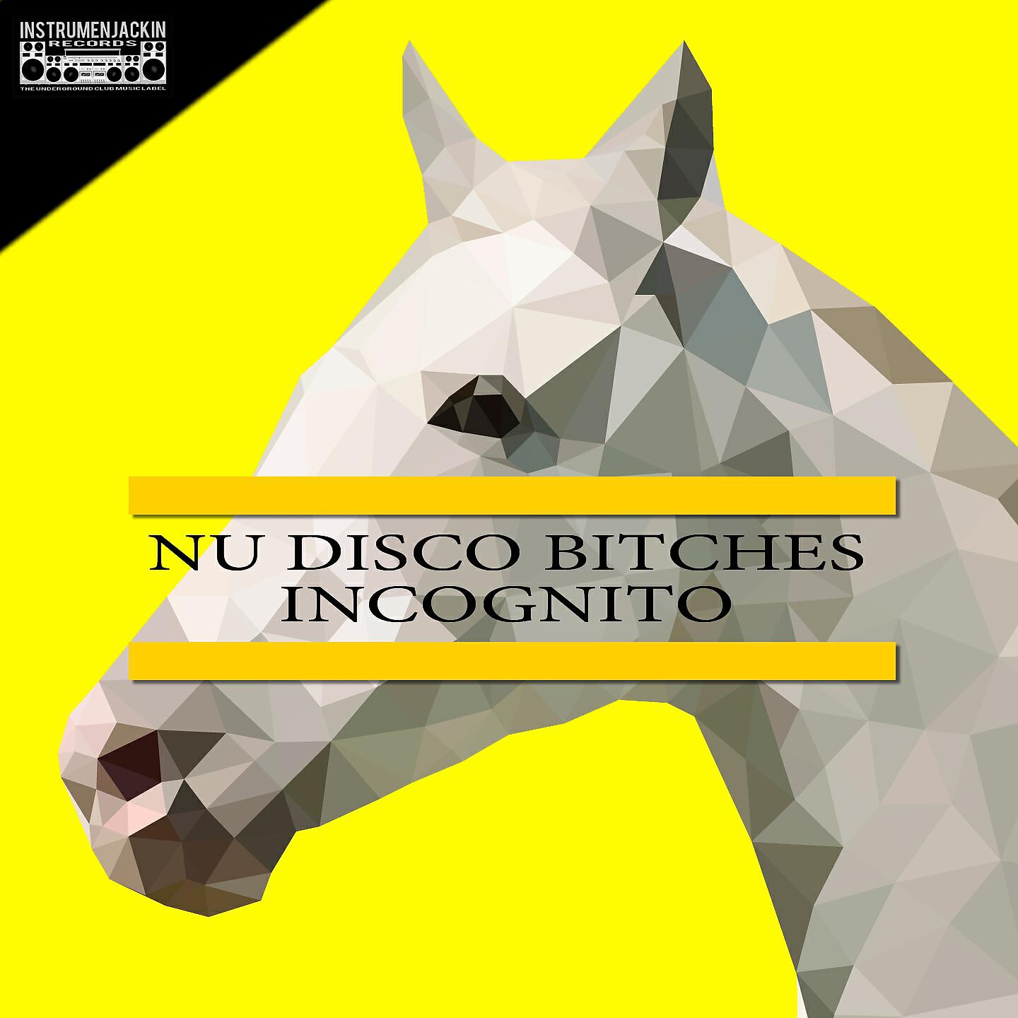 Nu Disco Bitches - Incognito (Tempo Edit Mix)