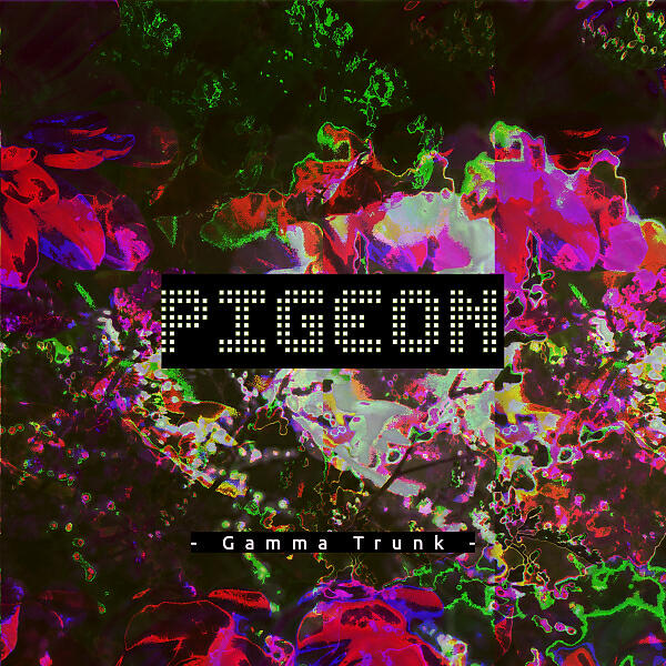 Gamma Trunk - Pigeon