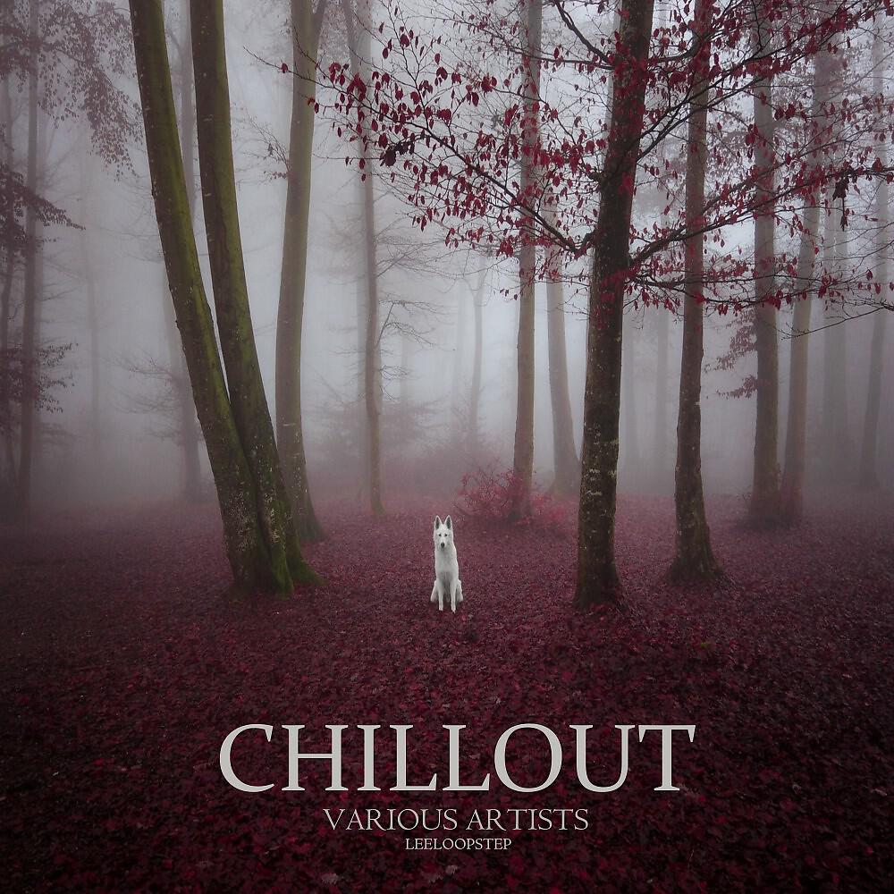 Frank Tastik & Monsieur Mooch Meets Vogel & Hauter - Desire (Chill out Reworked)