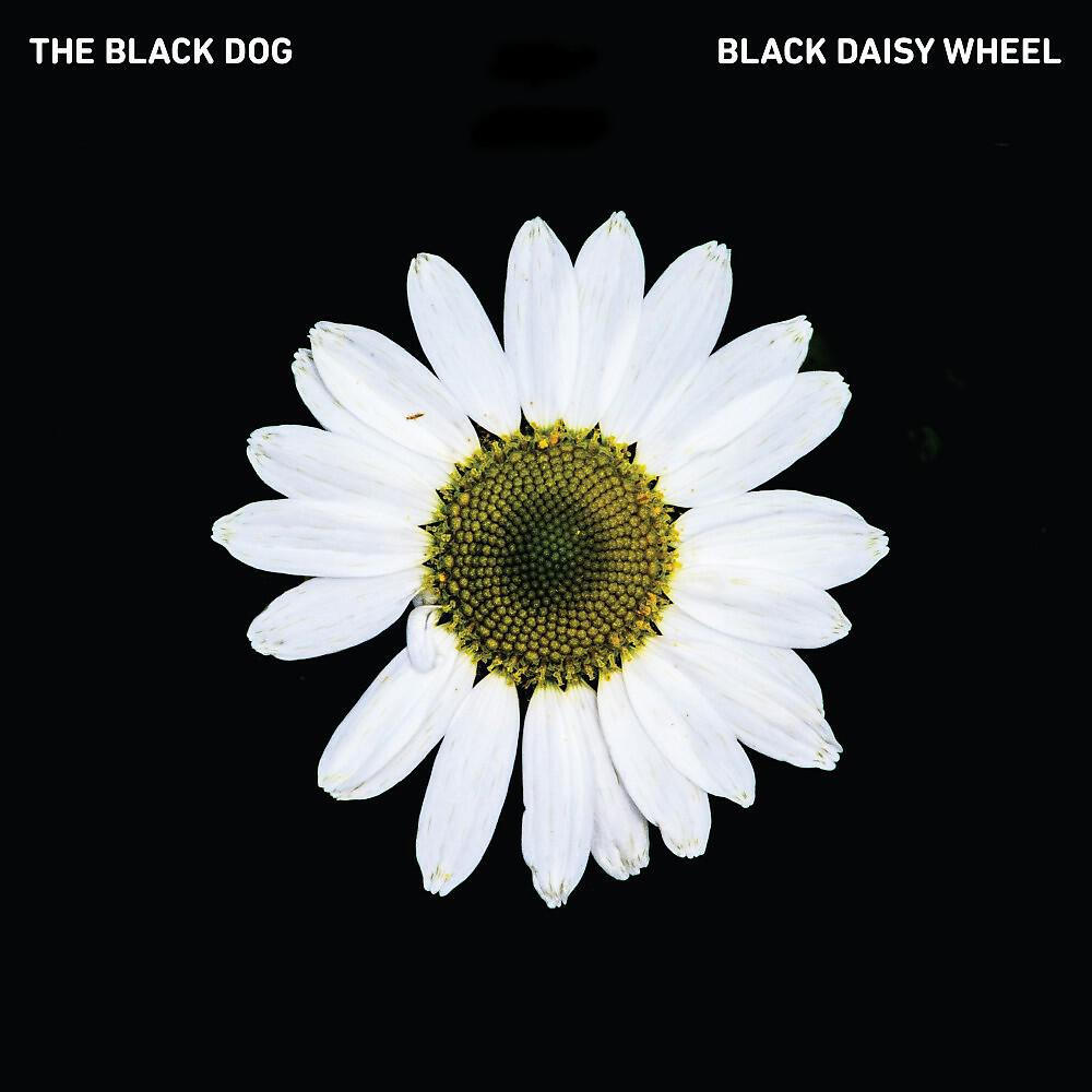The Black Dog - Tell Me What You Remember