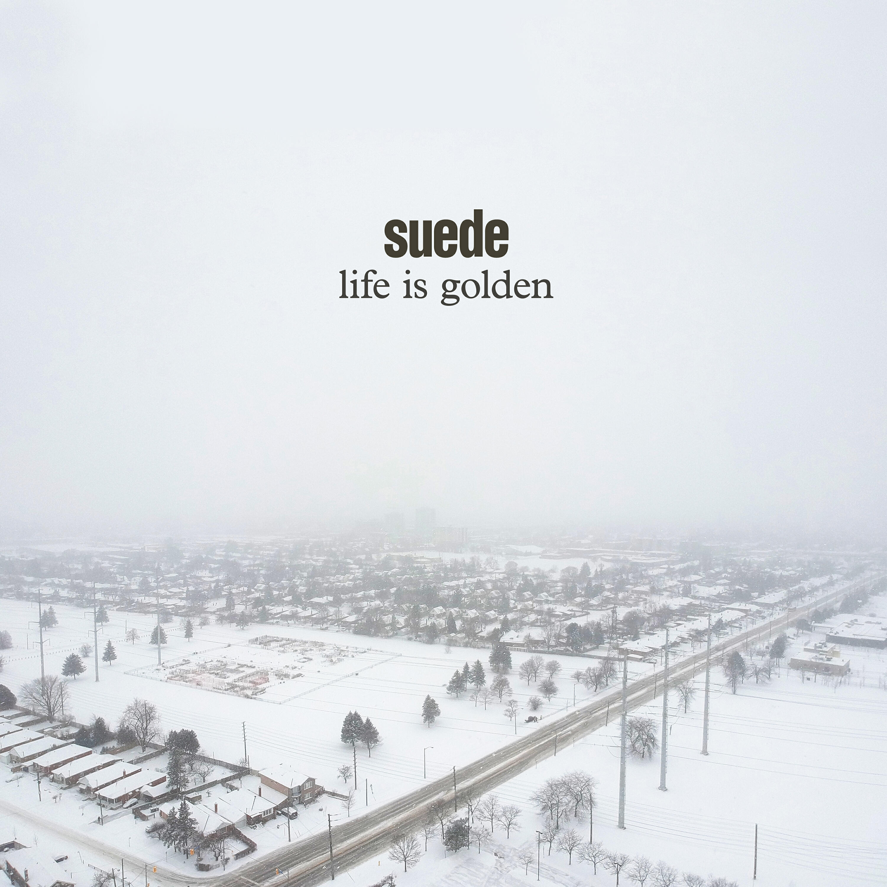 Suede - Life is Golden