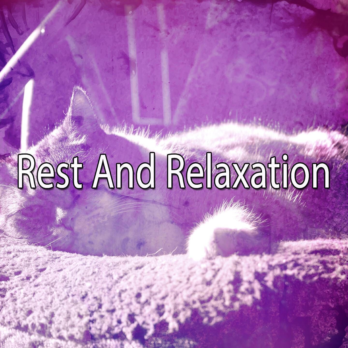 Deep Sleep Relaxation - Rain Upon The Seas