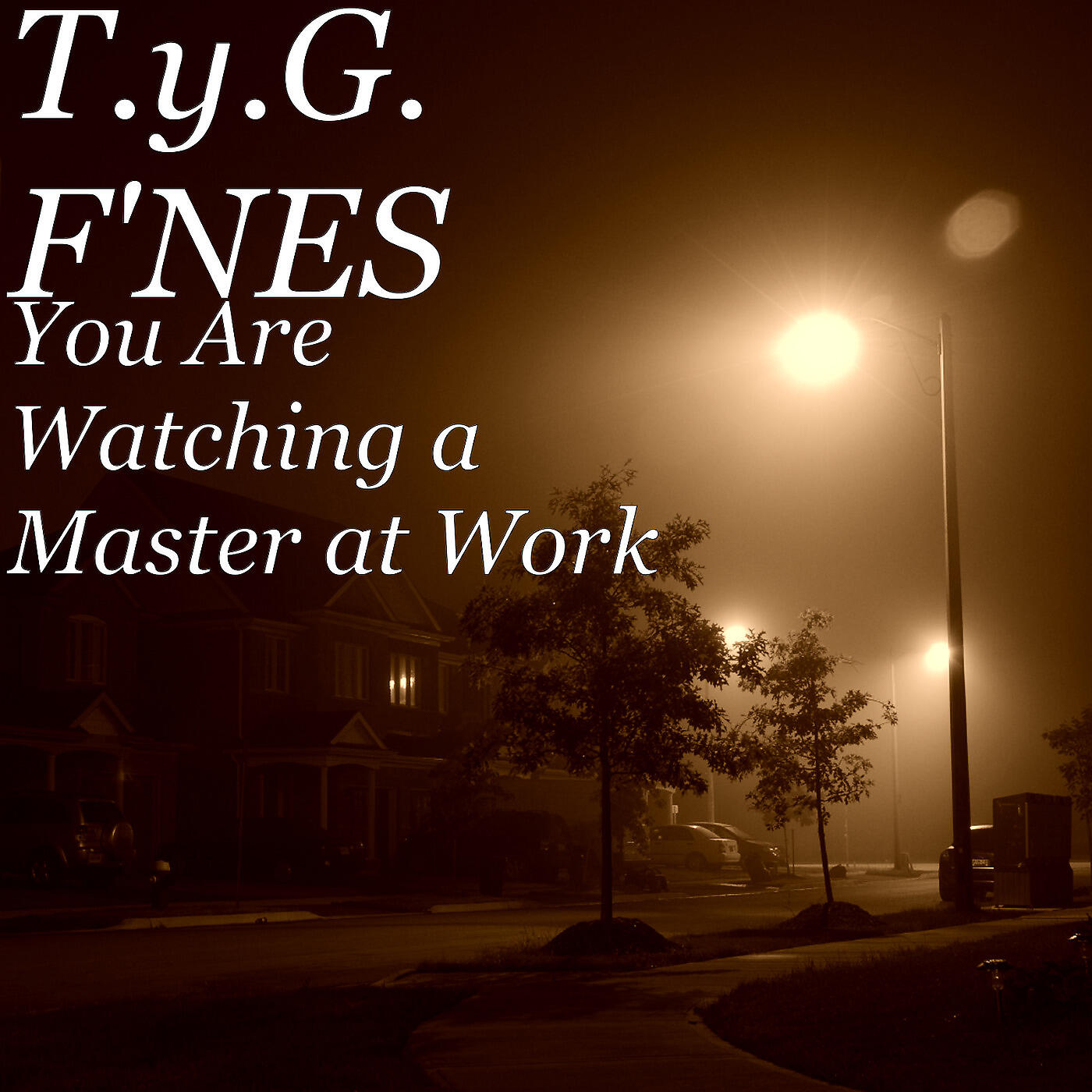 T.y.G. F'NES - Master at Work Intro