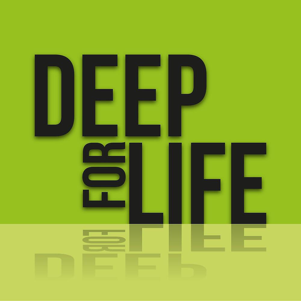 Sander Goldmann - An Explosion of Life (Disco City Mix)