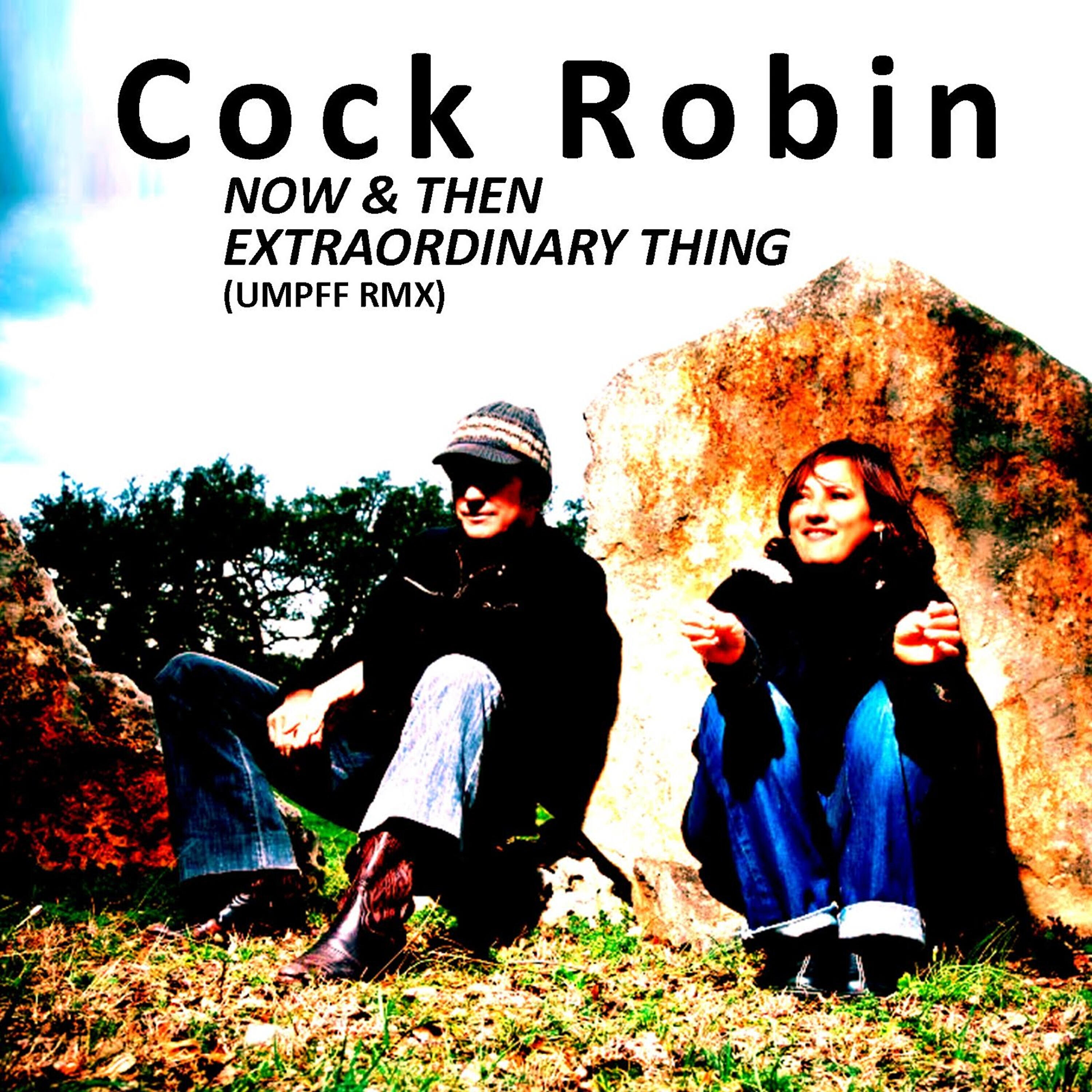 Cock Robin - Extraordinary Thing (Umpff Remix)