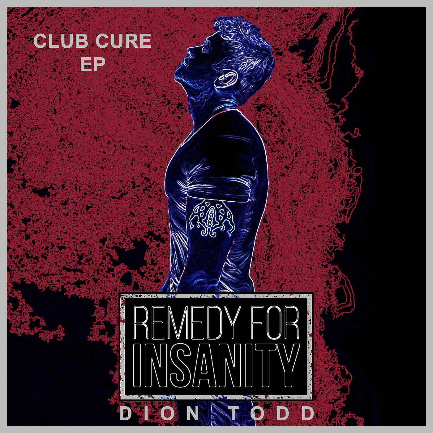 Dion Todd - Remedy for Insanity (Nick Fiorucci Remix)