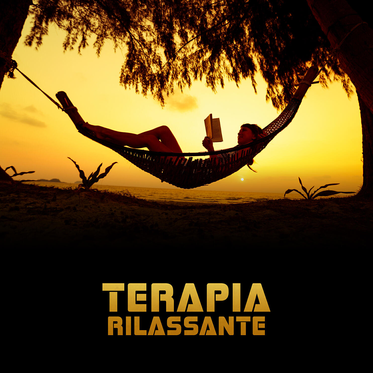 Musica Relax Academia - Esercizi di yoga