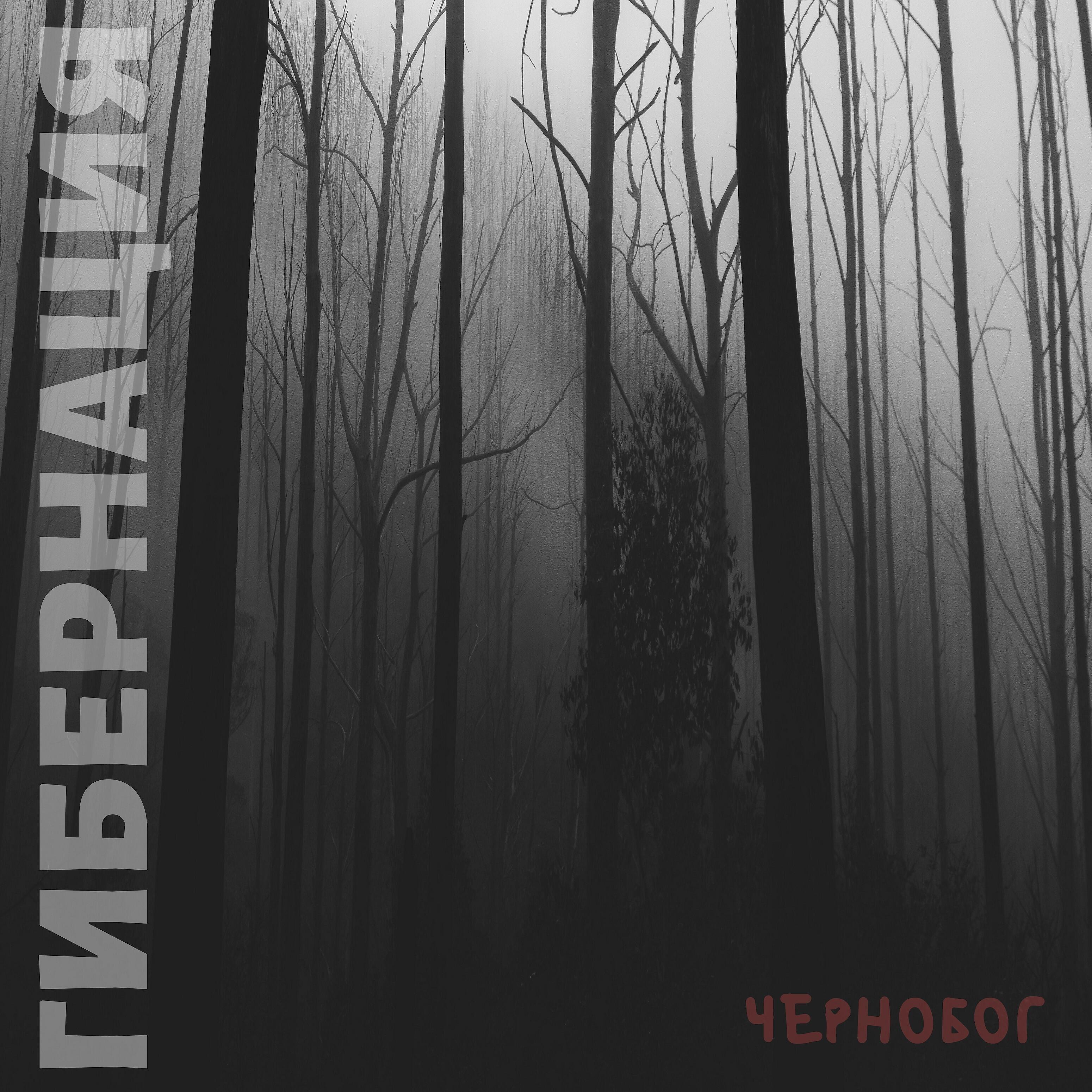 Гибернация - Волшебные грибы