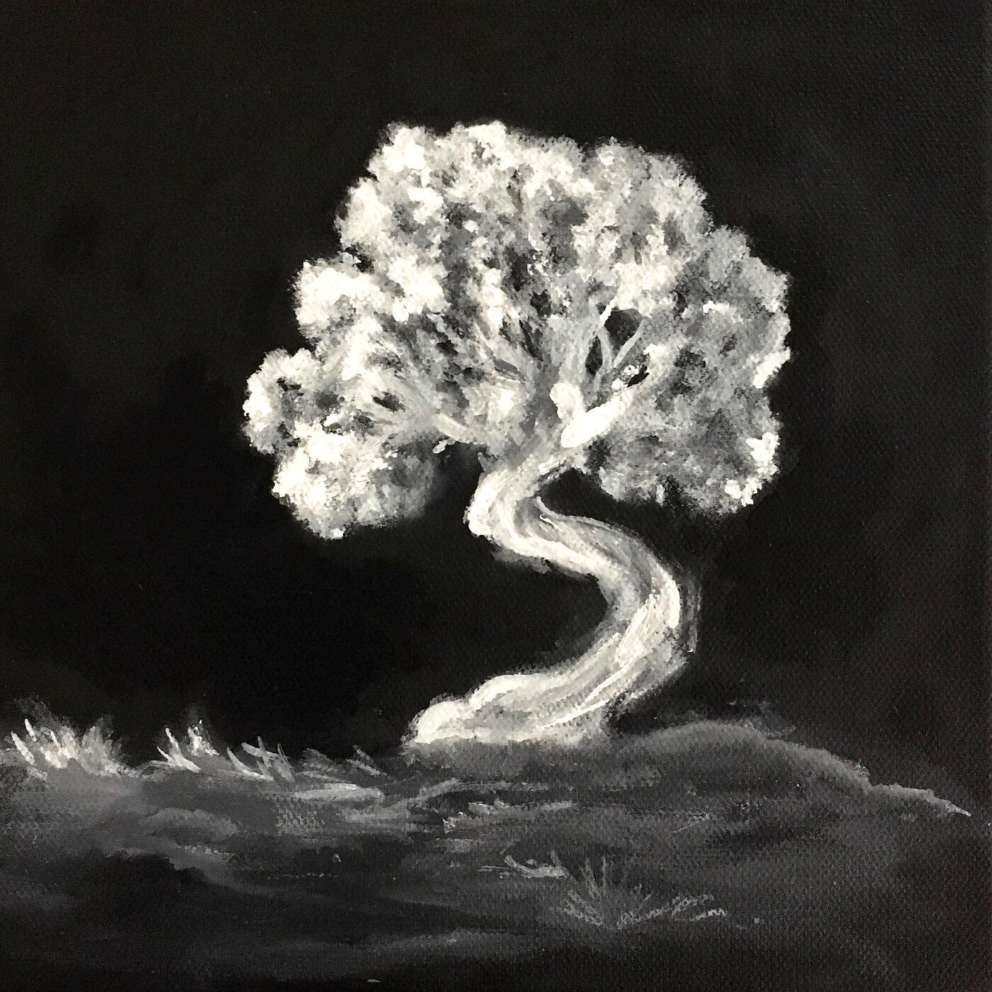 Brogan Gaskill - Firelight