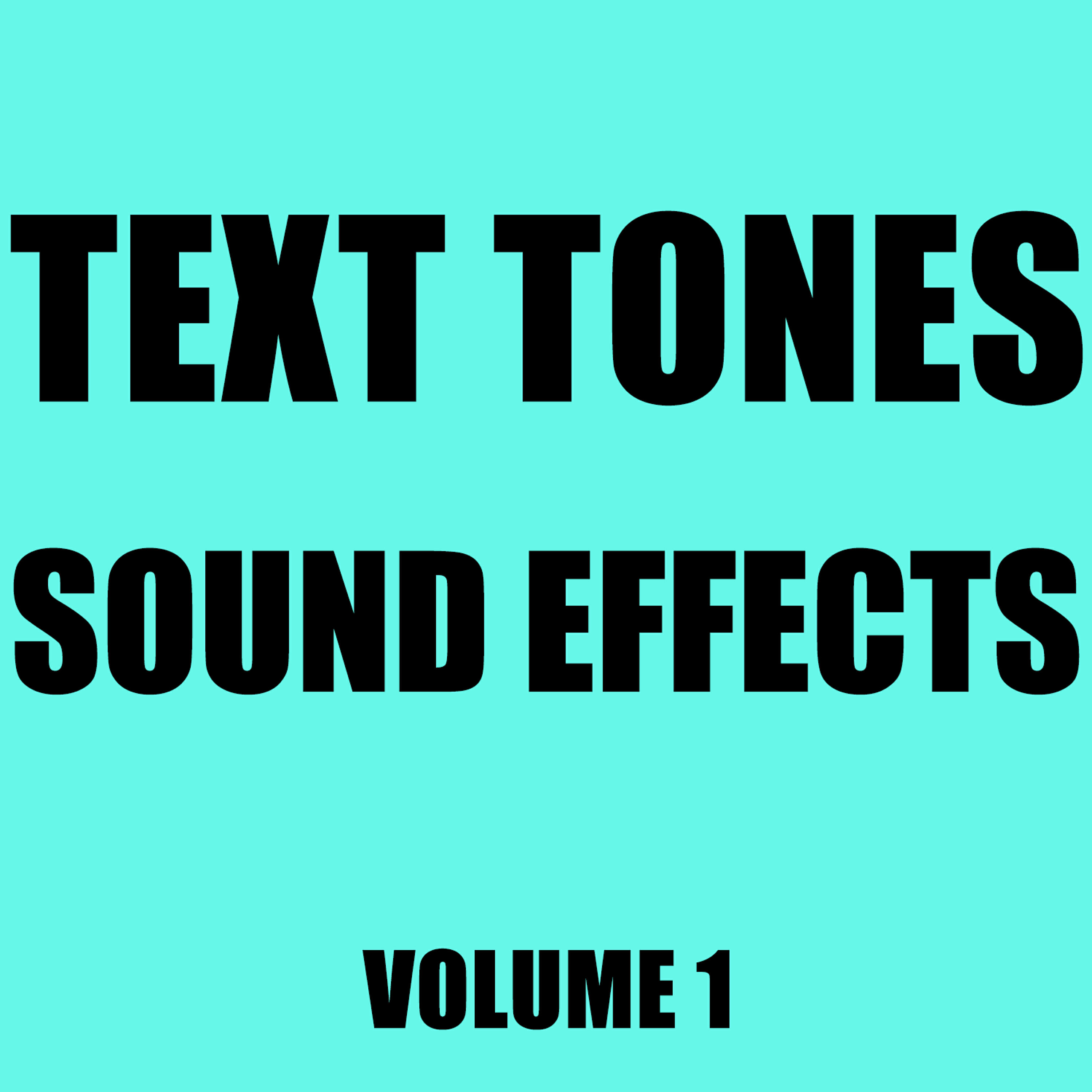 Hollywood Sound Effects Library - A Blip