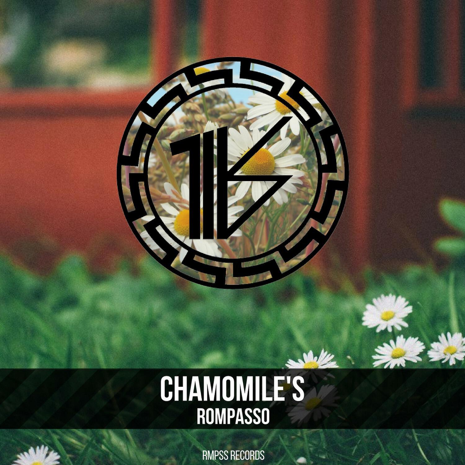 Rompasso - Chamomile’s