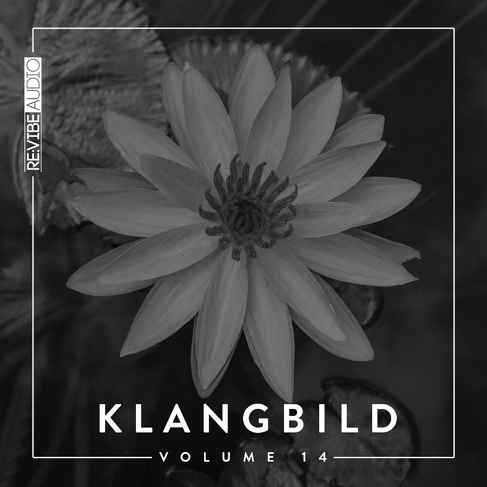 Charlie Roennez - Samphire (Original Mix)