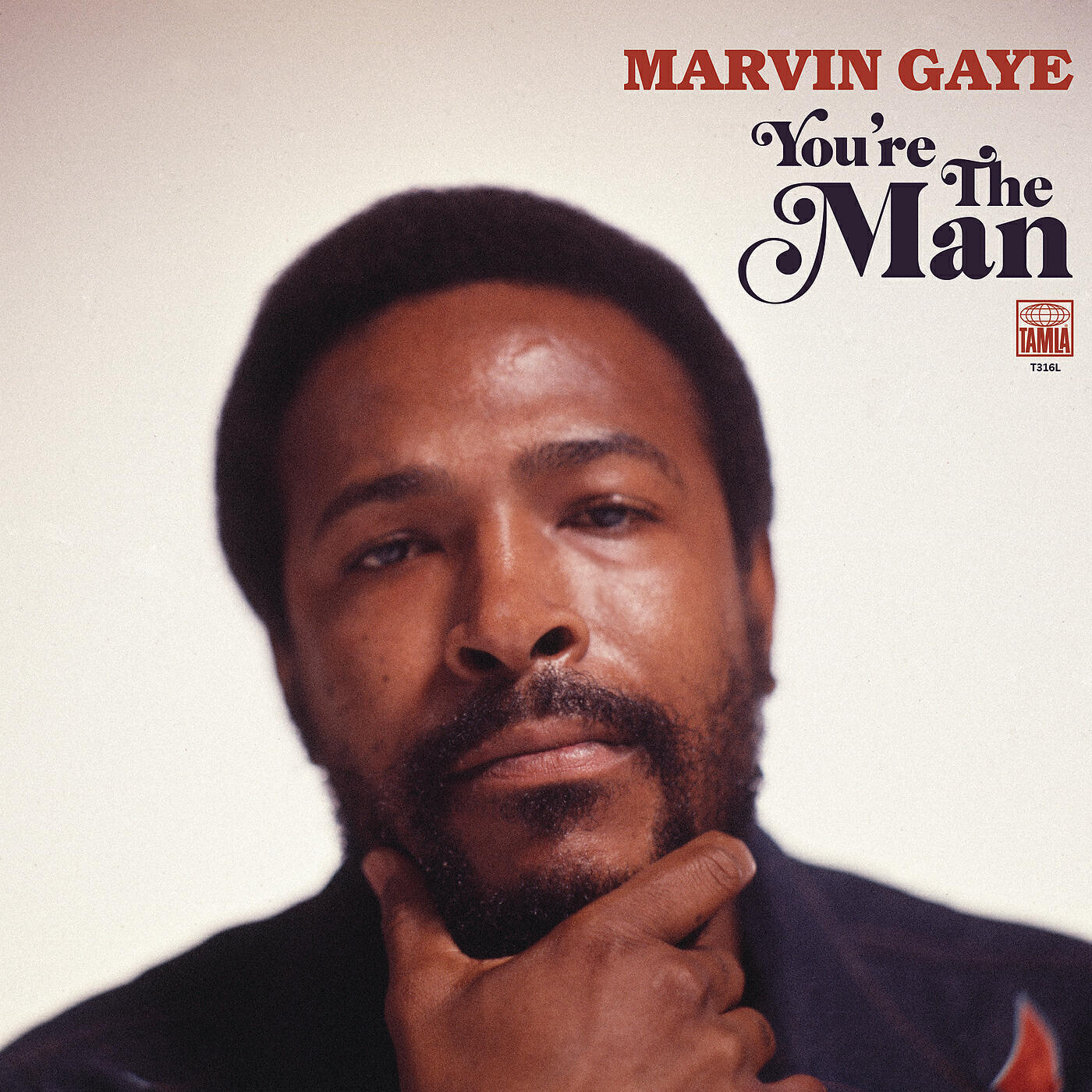 Marvin Gaye - Symphony (SalaAM ReMi LP Mix)