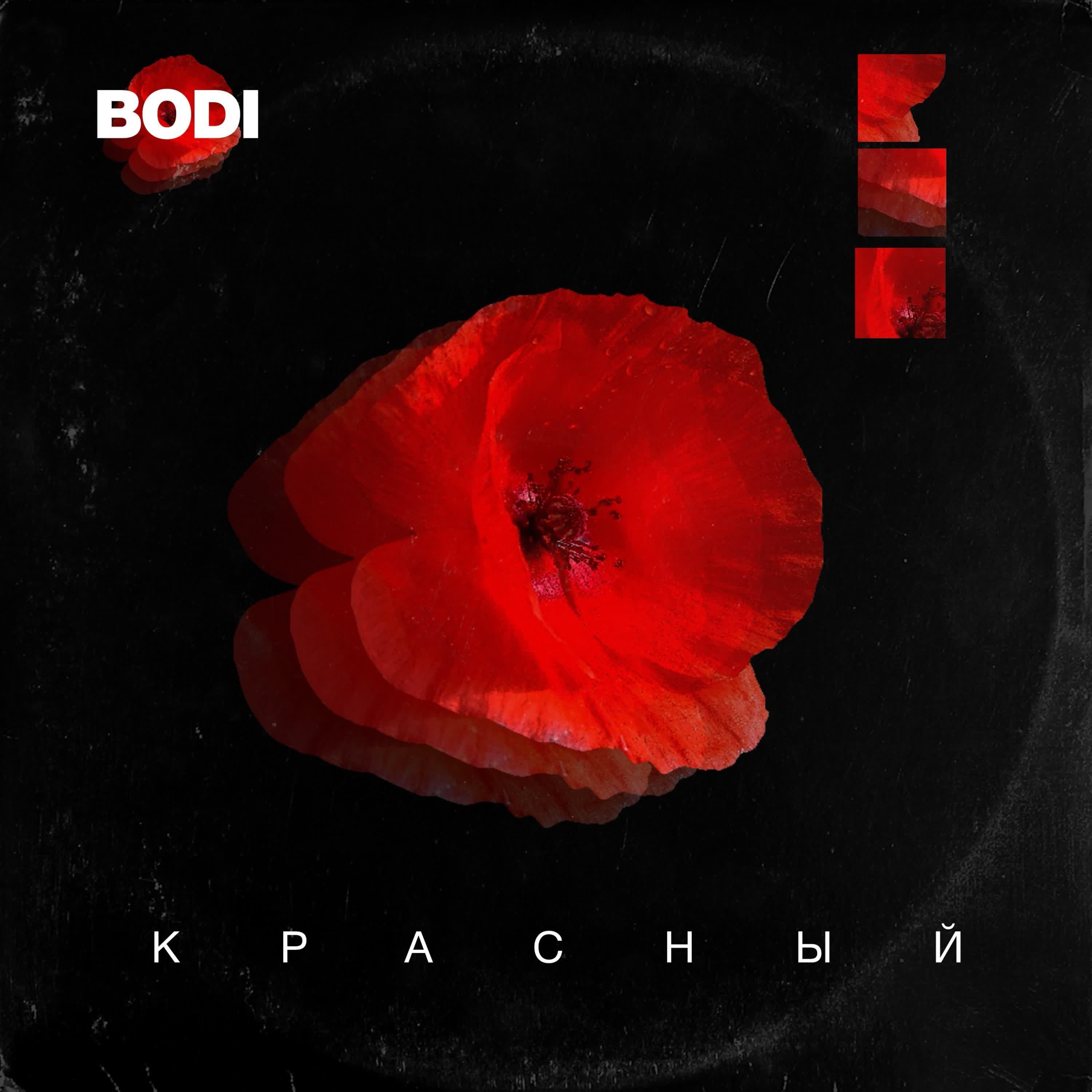 BODI - Несерьезная