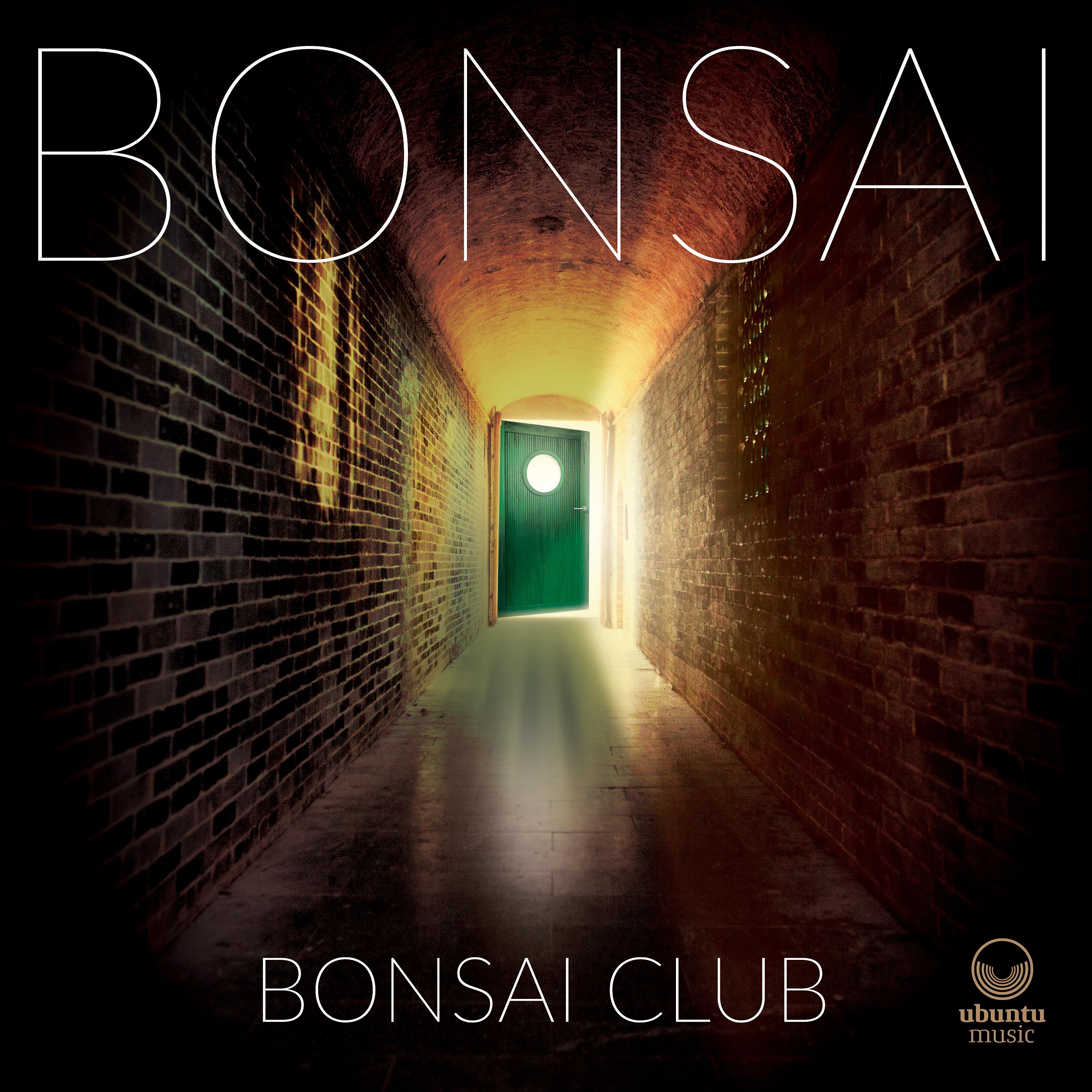 Bonsai - Tin