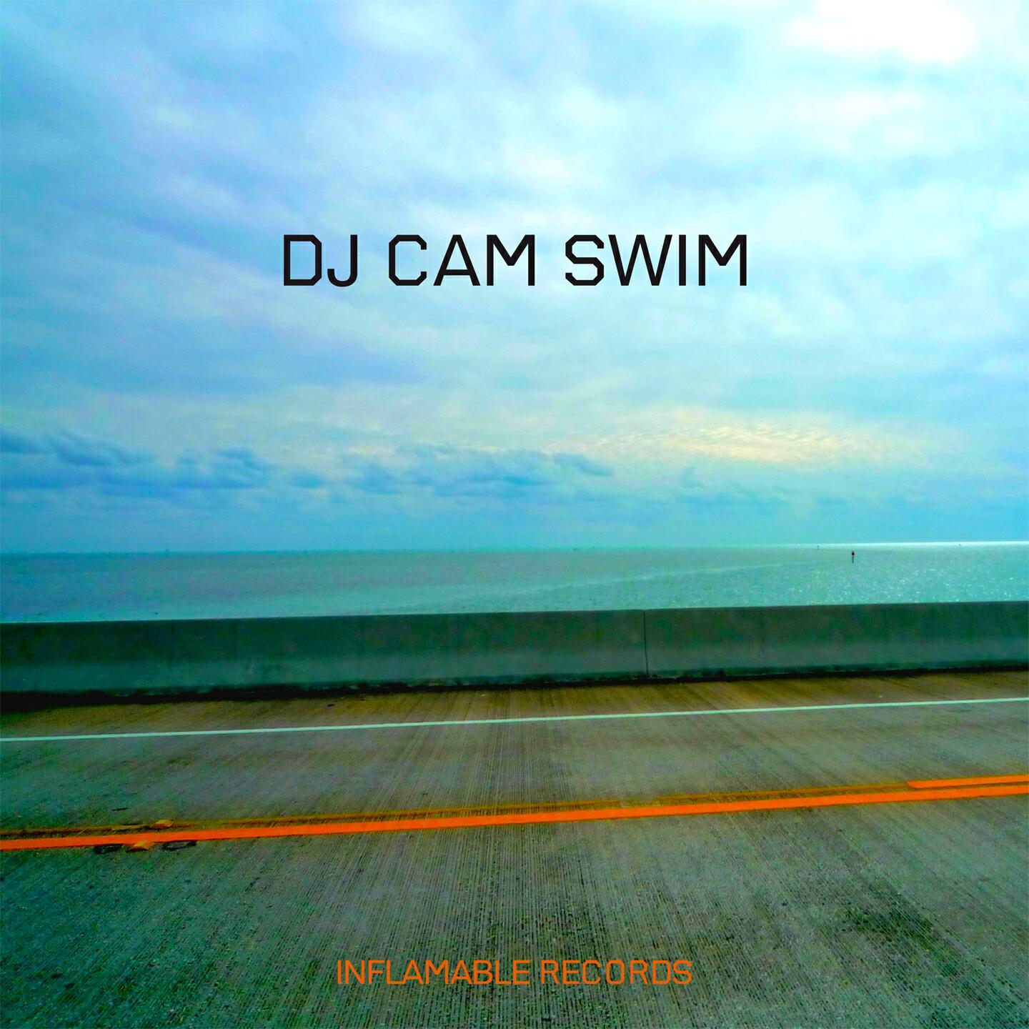 DJ Cam - Swim (Radio Version)