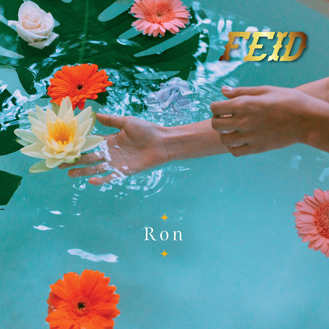 Feid - Ron
