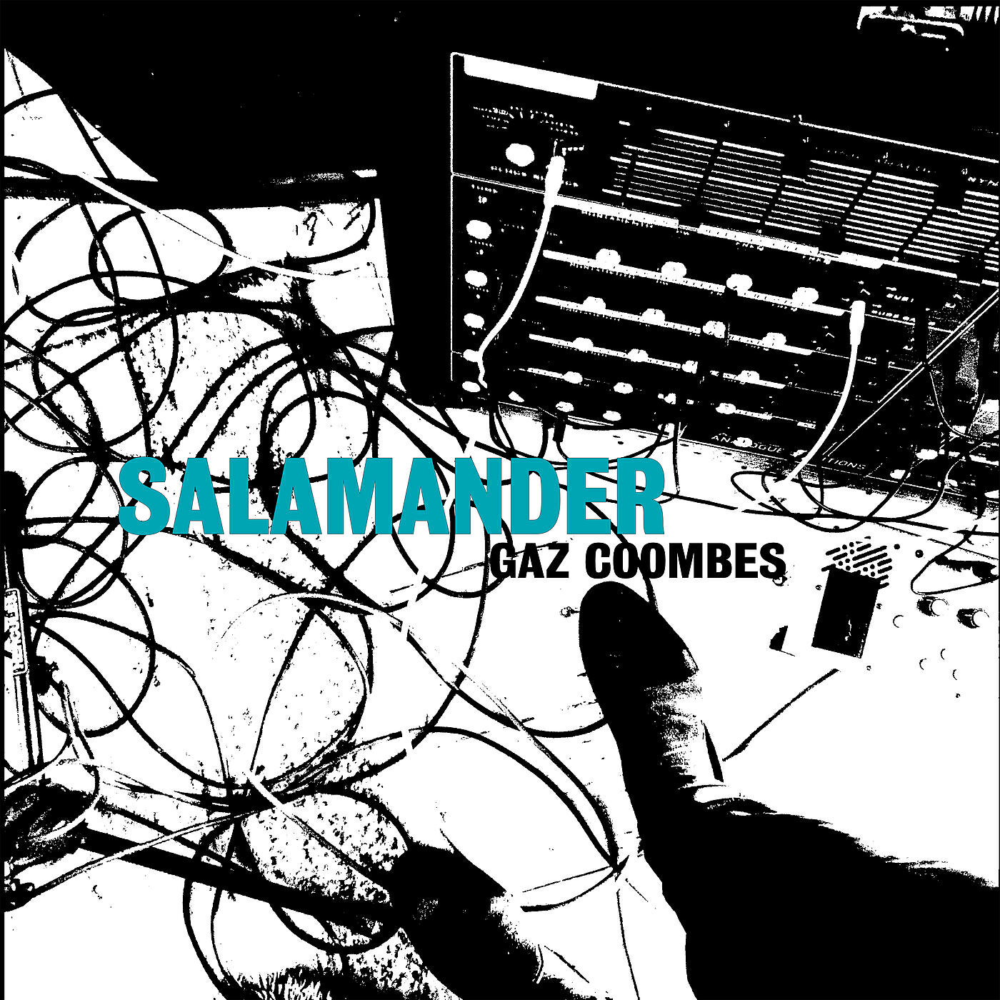 Gaz Coombes - Salamander