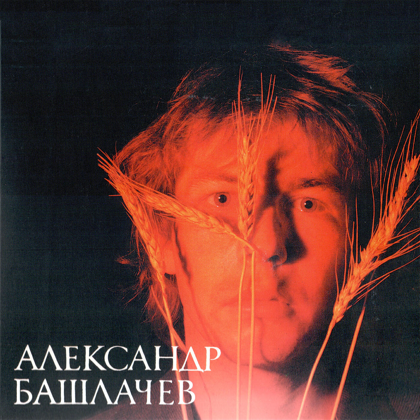 Александр Башлачев - Лихо (Ноябрь 1984, Москва)