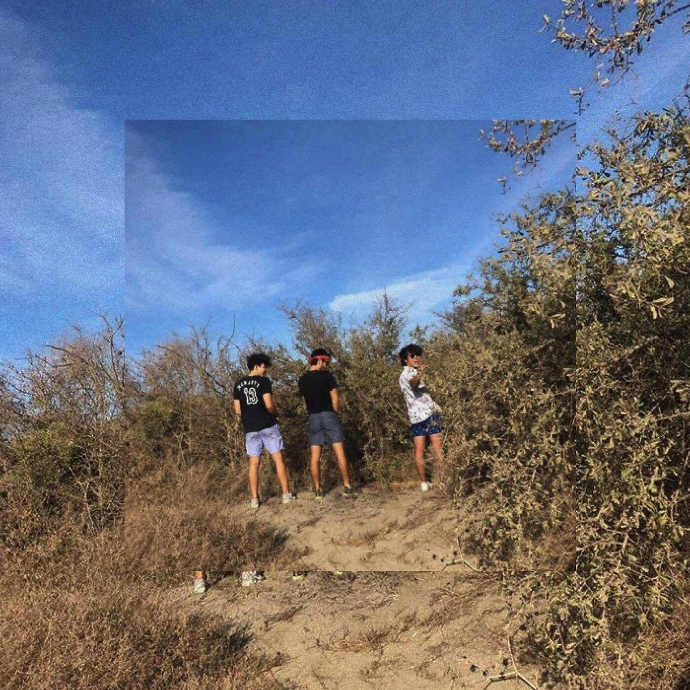PALA - Runnin