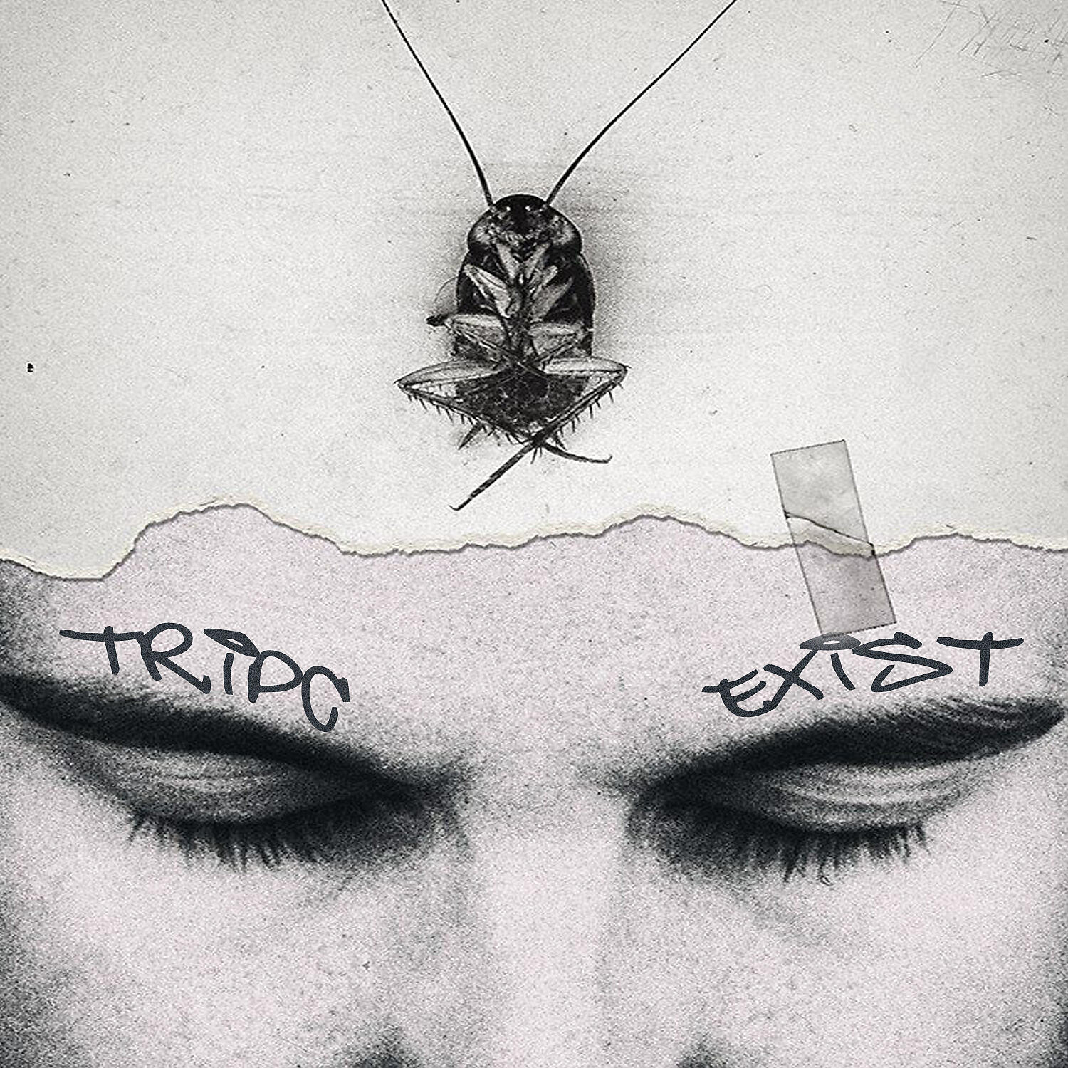 Tripc - 1973